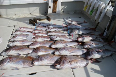 KIM Fishing Guide Ser…