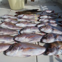 KIM Fishing Guide Service 釣果