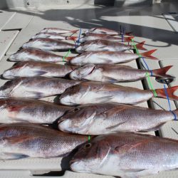 KIM Fishing Guide Service 釣果