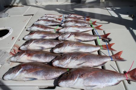 KIM Fishing Guide Ser…