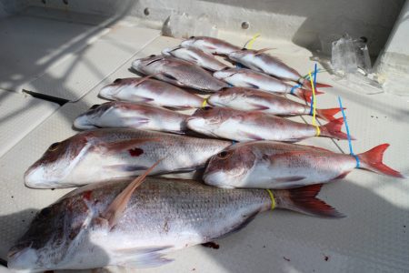 KIM Fishing Guide Ser…