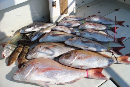 KIM Fishing Guide Ser…