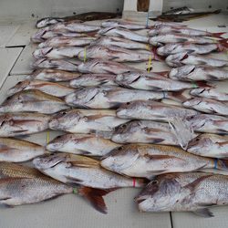 KIM Fishing Guide Service 釣果