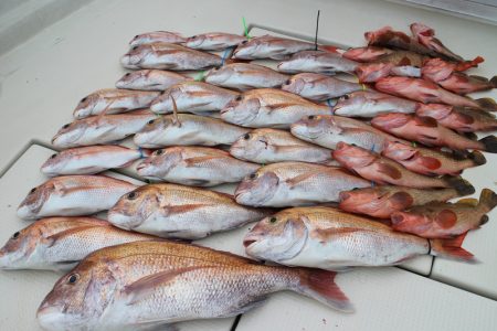 KIM Fishing Guide Ser…