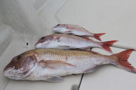 KIM Fishing Guide Ser…