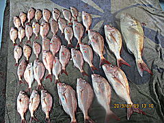 遊漁船 未紗奈 釣果