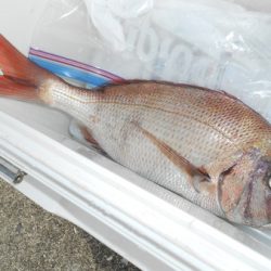 こうゆう丸 釣果