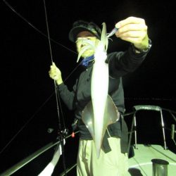 ジギング船 BLUEWATER 釣果