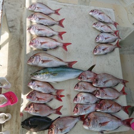 たかみ丸 釣果