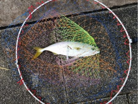 先輩が大物を！！