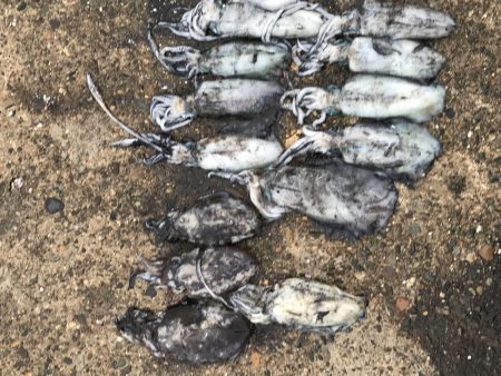 12時間釣りしてた(-_-)zzz