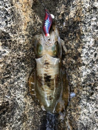 今日も仕事帰りに