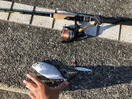 激渋マリーナシティ