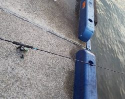 アジサバいっぱいだい2だん