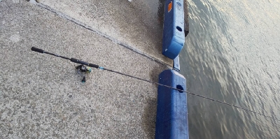 アジサバいっぱいだい2だん