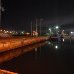 アジをもとめて