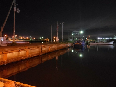 アジをもとめて