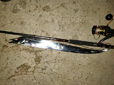 ショアタチウオ