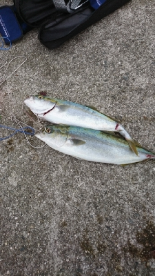 なんともな結果に