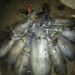 デカいの釣れた!