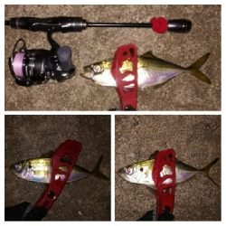 アジンガー1835〜1924