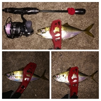 アジンガー1835〜1924