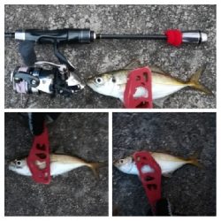 アジンガー1808〜1859