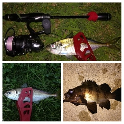 アジンガー1759〜1921