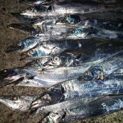 トリプルツヌケ