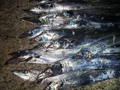 トリプルツヌケ