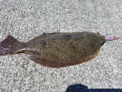 最後にお土産♪