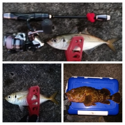 アジンガー1805〜1850