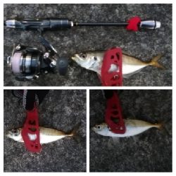 アジンガー1805〜1859