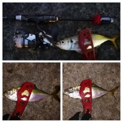 アジンガー1810〜1852