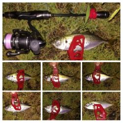 アジンガー1905〜2035