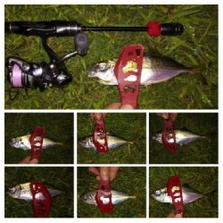 アジンガー1835〜2015