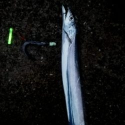 雨の中の一文字