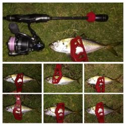 アジンガー1840〜1935 2105〜2150