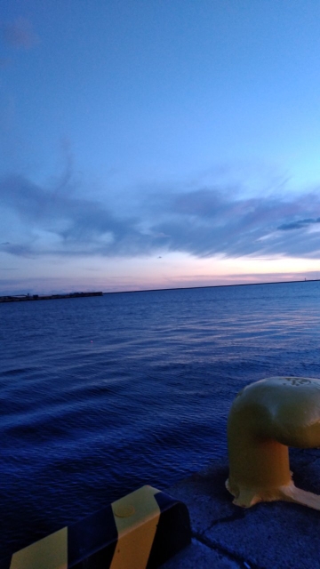 イカ釣狙いが・・・