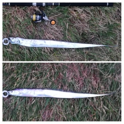 LSJigginger 0510〜0555…