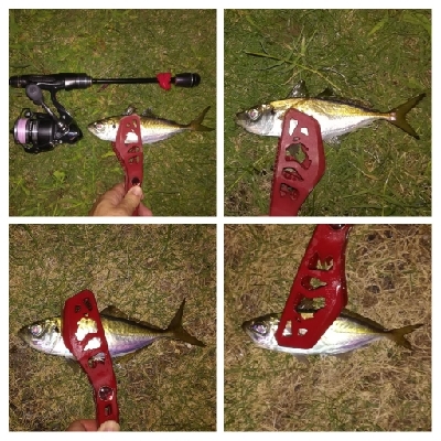 アジンガー1825〜1935