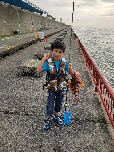 いろんな魚が釣れました❗