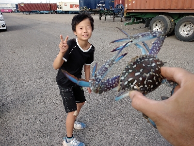 子どもたちとハゼ釣り
