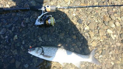 宮リバー度会公園