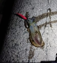 真夏のように暑い