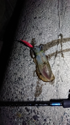 真夏のように暑い