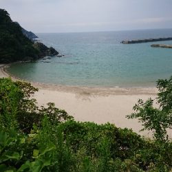 今シーズンイチ