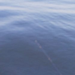 なんとか年無し？