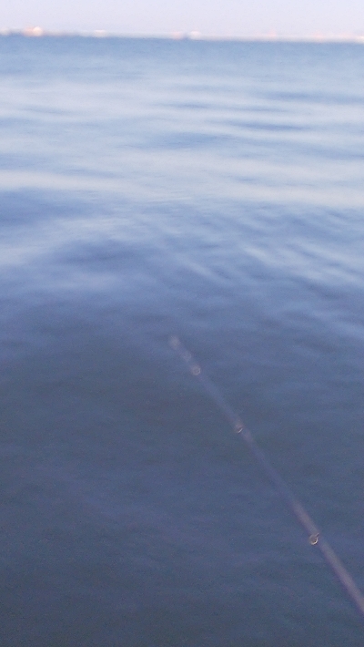 なんとか年無し？