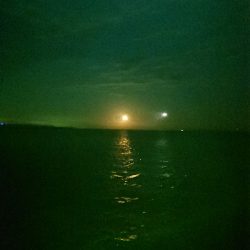 前の日のリベンジ。